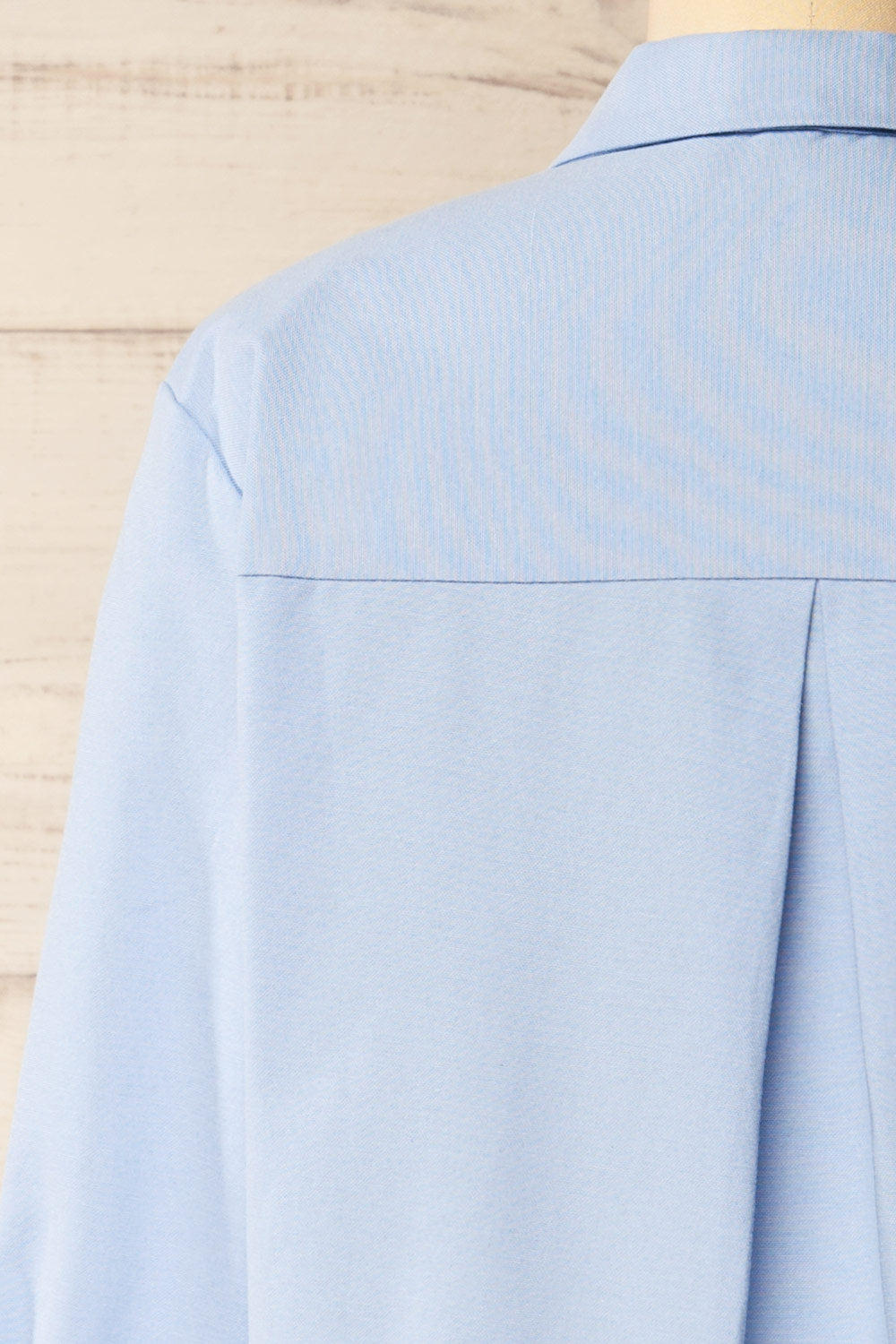 Arezzo Blue Button-Up Shirt | La petite garçonne back