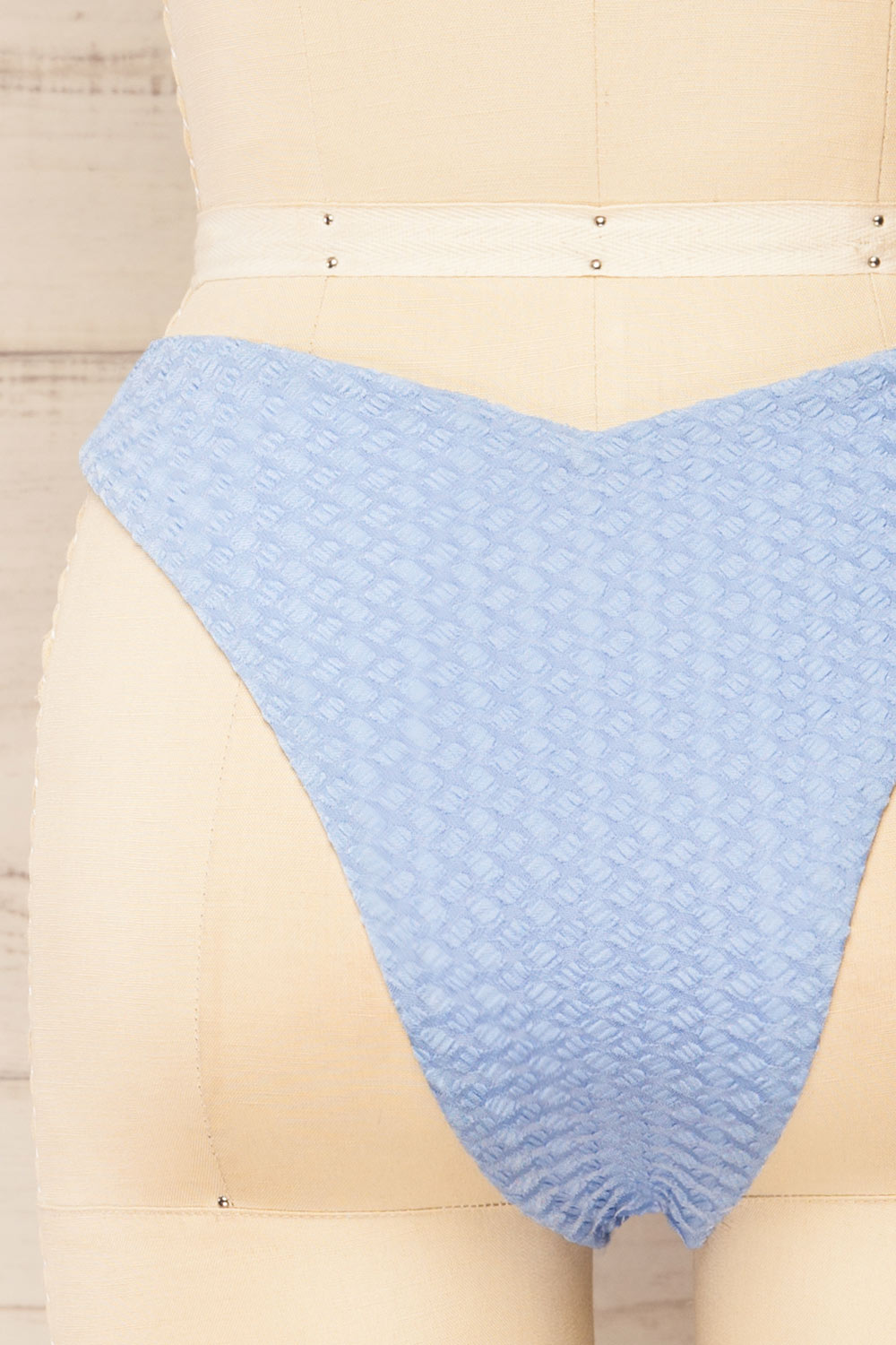 Bachoe Light Blue Bikini Bottom | La petite garçonne back