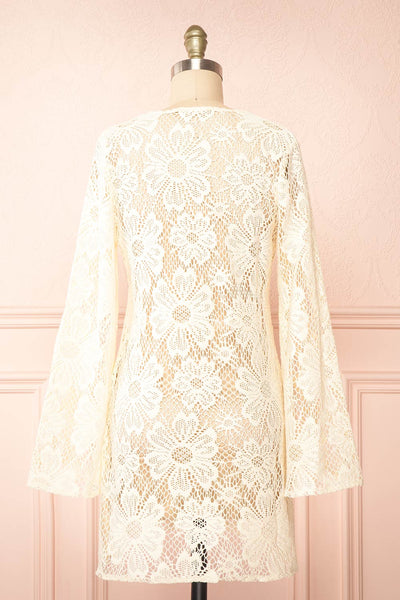 Bara Short Ivory Floral Crochet Dress | Boutique 1861 back view