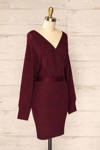 Bergame Burgundy Knitted Wrap Dress | La petite garçonne side view