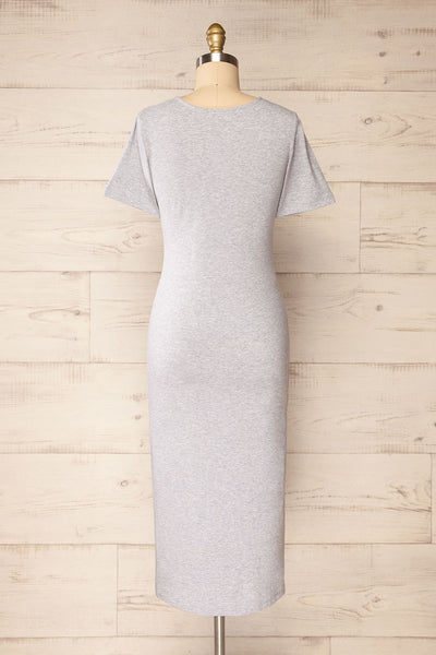 Bogota Grey Short Sleeve Midi Dress | La petite garçonne back view
