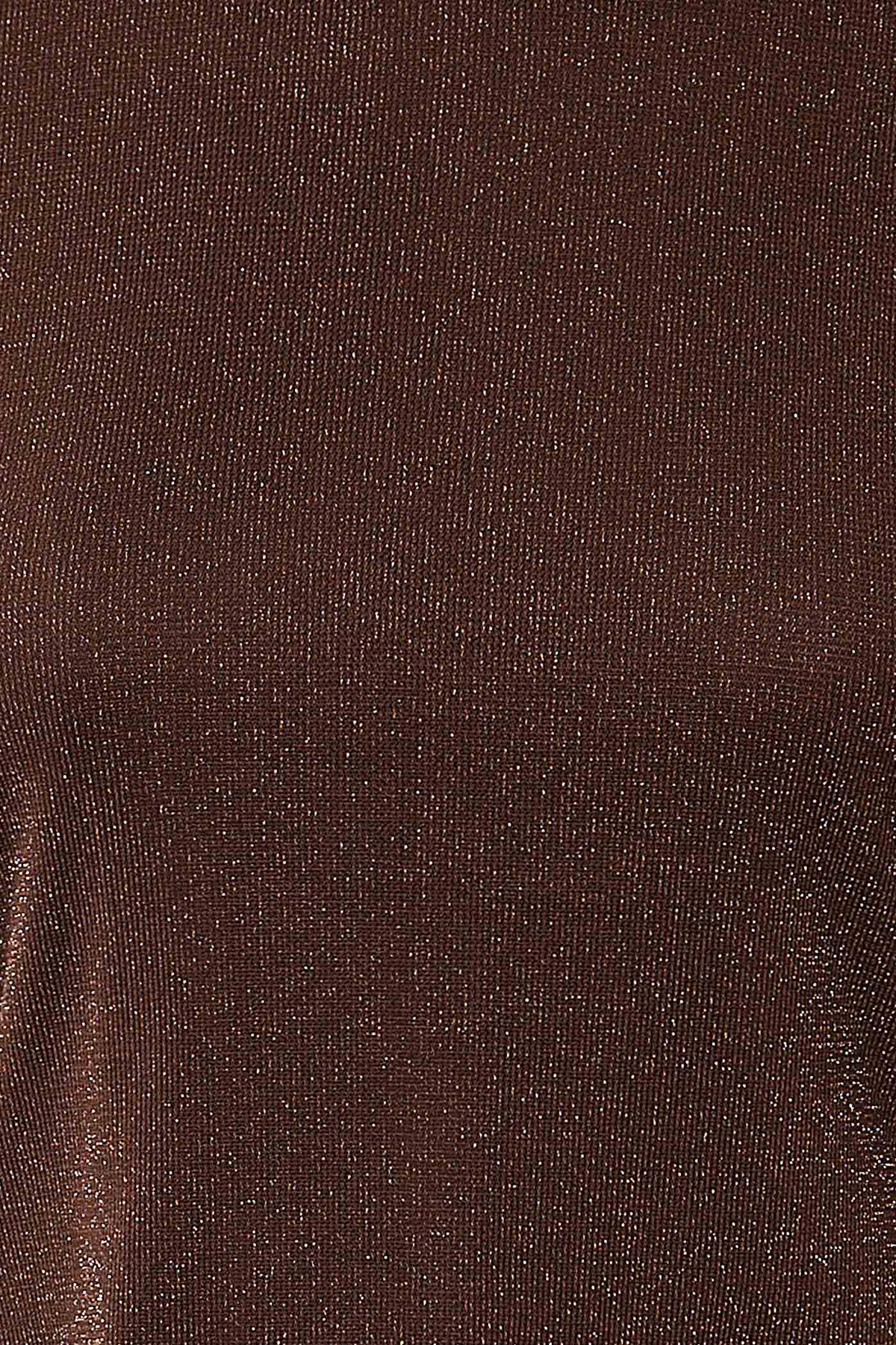 fabric view of Bonaventure Brown Shimmery Cowl Back Long Sleeve Top at La petite garçonne