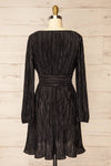 Bromsgrove Short Black Pleated Dress w/ Long Sleeves | La petite garçonne back view