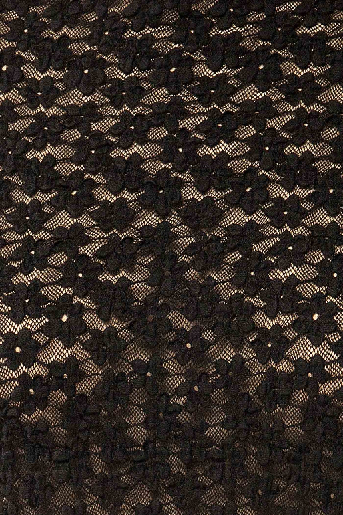 fabric view of Burgeo Sheer Black Lace Mock Neck Top with Thumbhole Cuffs at La petite garçonne