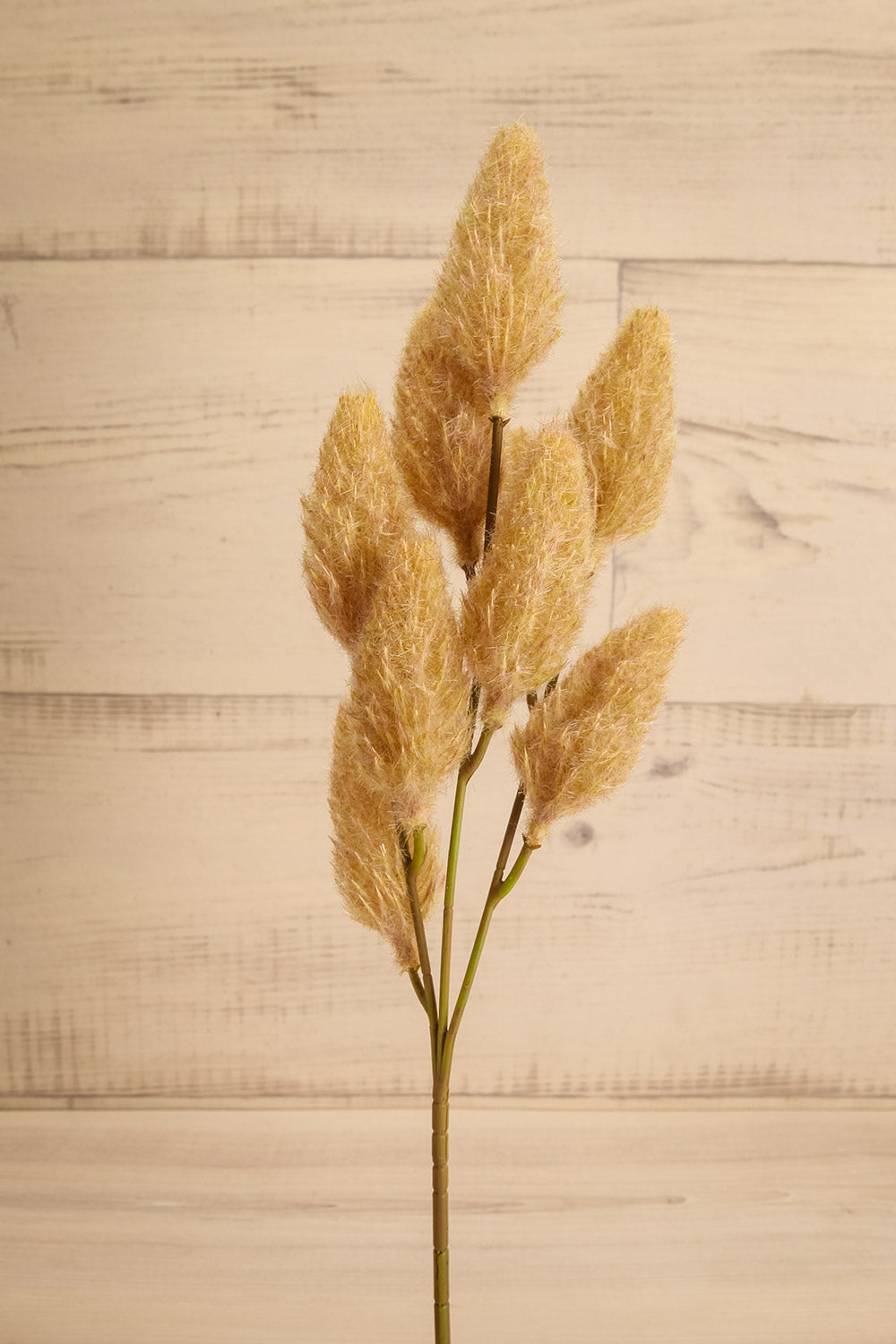 Cascade Artificial Bunny Tail Spray | Maison garçonne view