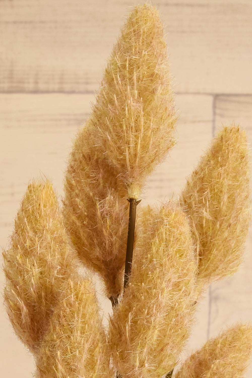 Cascade Artificial Bunny Tail Spray | Maison garçonne close-up