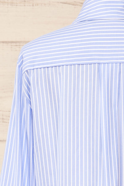 Chandler Cropped Striped Blue Shirt | La petite garçonne back