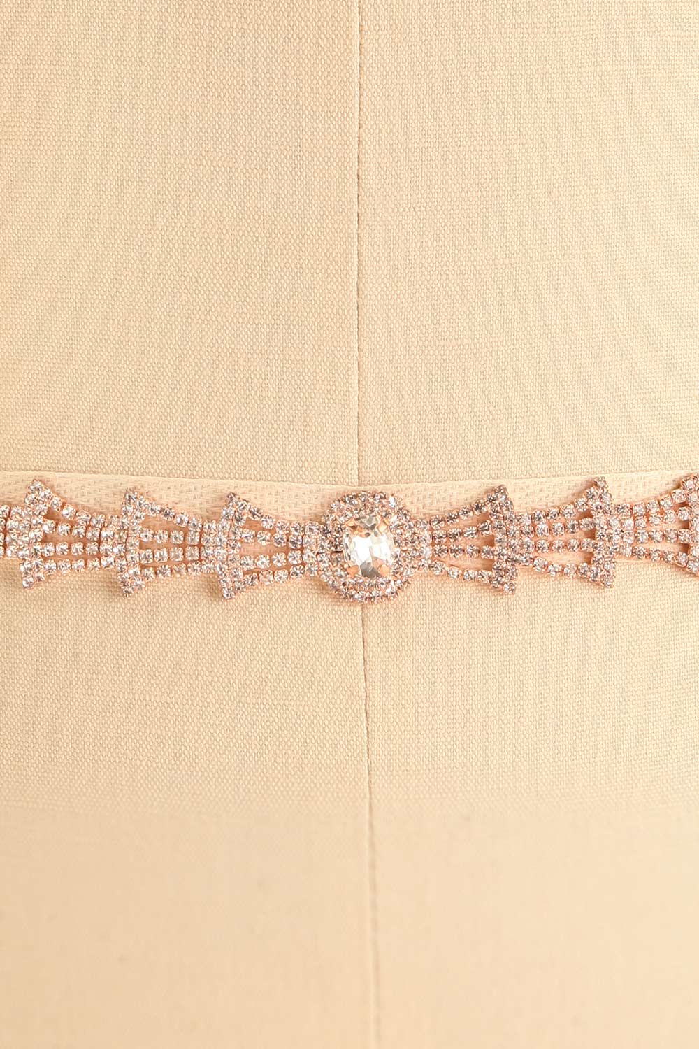  Charnel Rose Gold Crystal Belt | Boudoir 1861 close-up