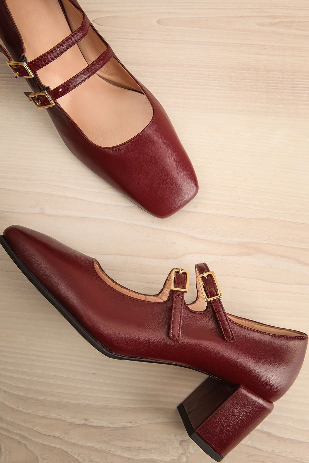 Chiredzi Burgundy Pointed Toe Mary-Jane Heels | La petite garçonne flat lay view