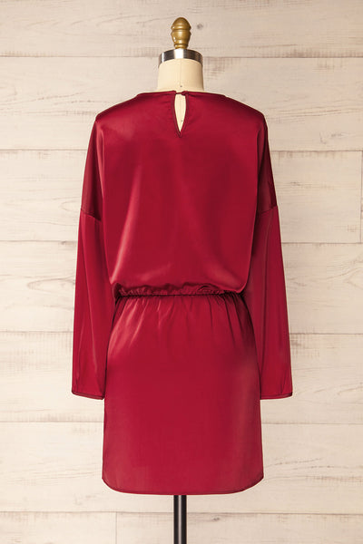 Combault Burgundy Silky Long Sleeved Dress | La petite garçonne back view