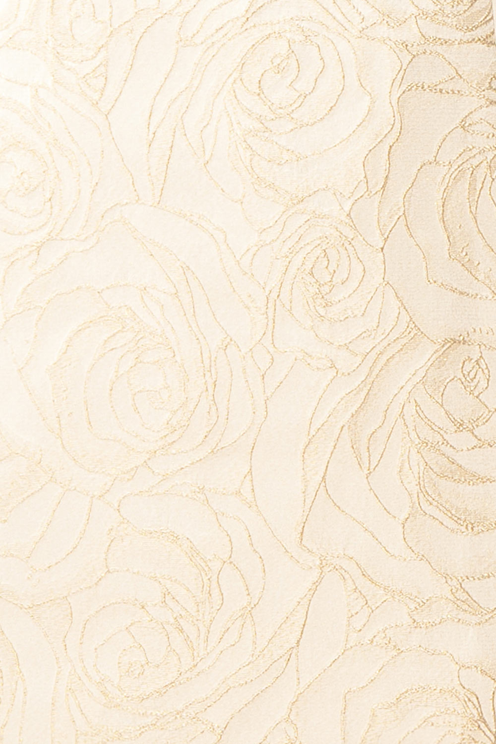  fabric of mannequin wearing Daenna Ivory, a Short Floral Embroidered Dress from boutique 1861