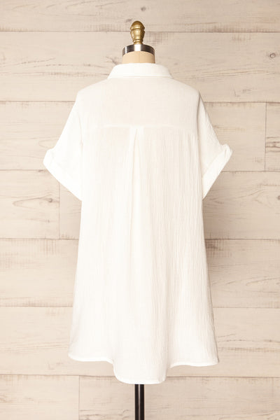 Davao Ivory Short Oversized Shirt Dress | La petite garçonne back view