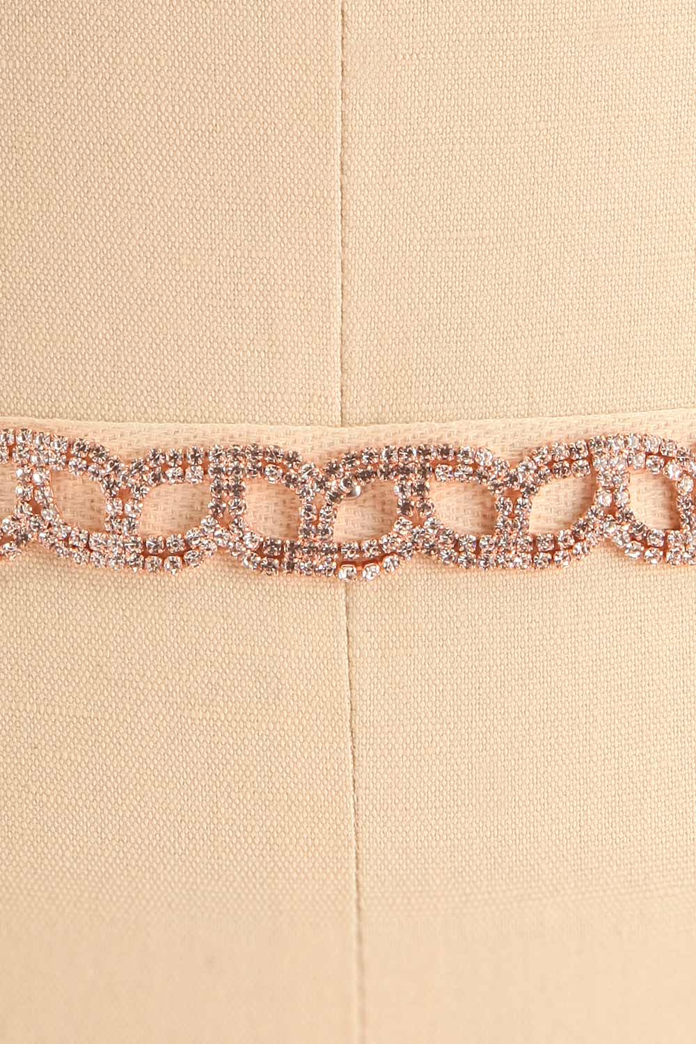 Euron Rose Gold Crystal Ribbon Belt | Boudoir 1861 close-up