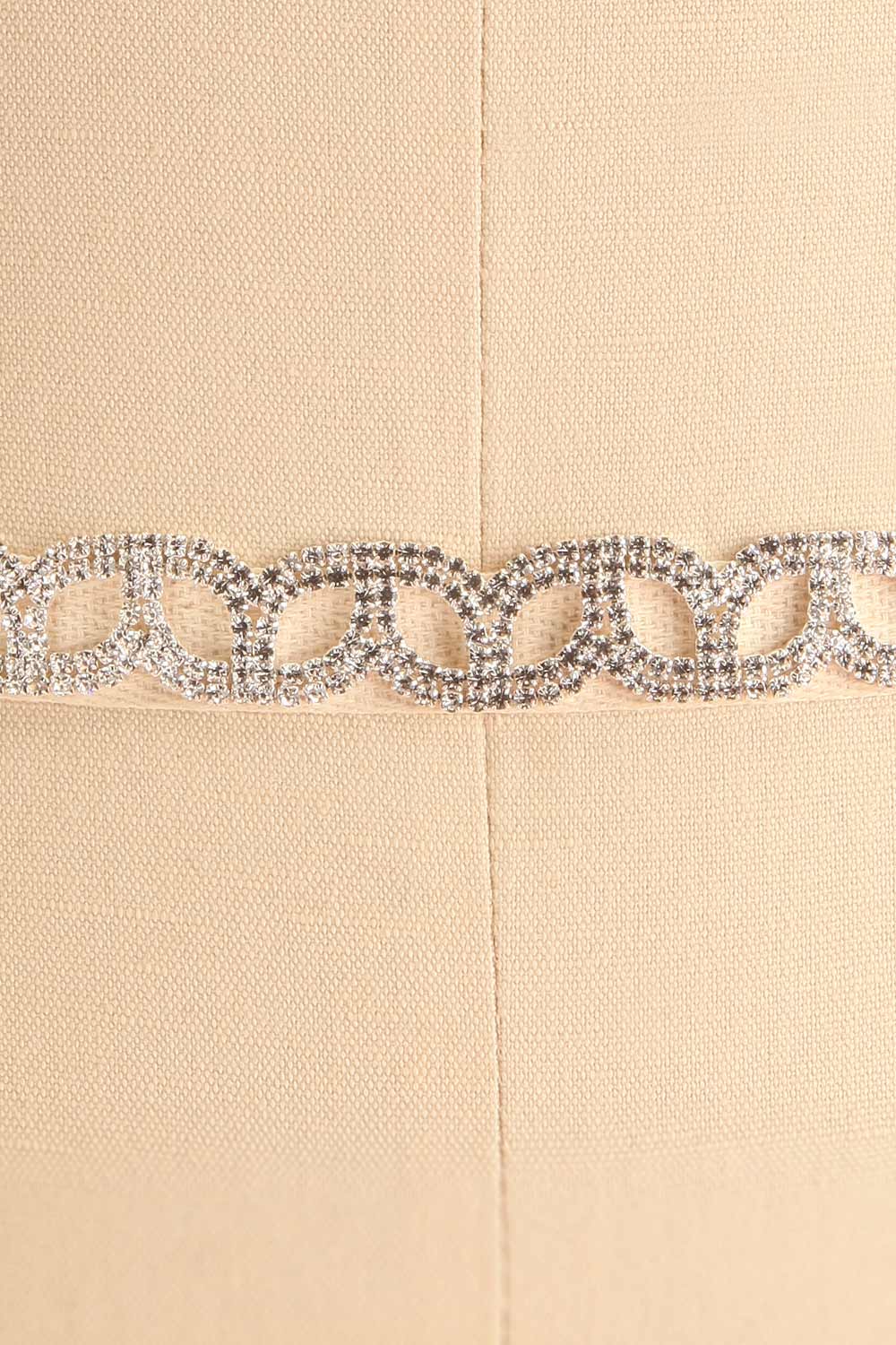 Euron Silver Crystal Ribbon Belt | Boudoir 1861 close-up