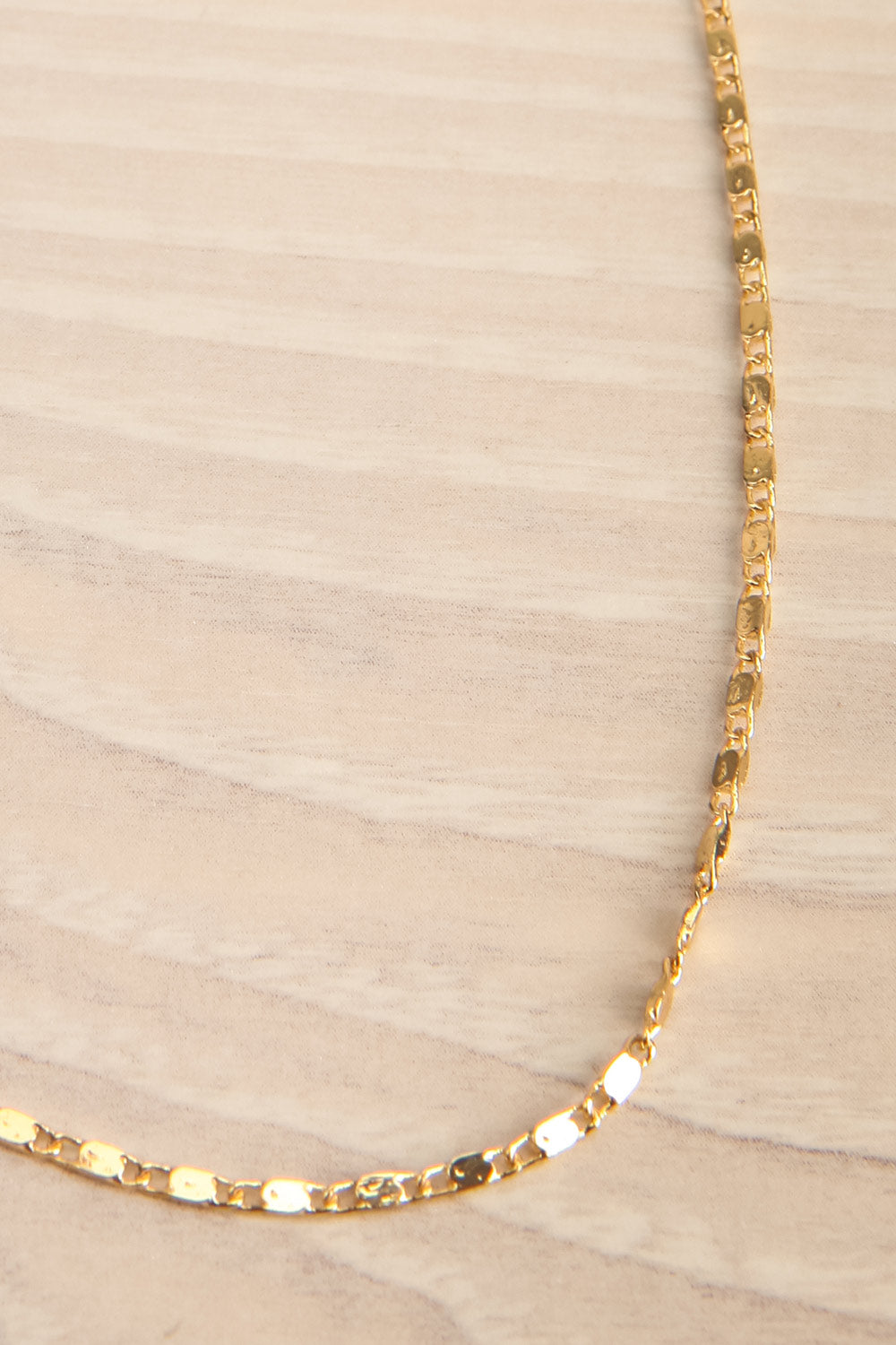 Eurotas Gold Chain w/ Flat Polished Links | La petite garçonne flat close-up