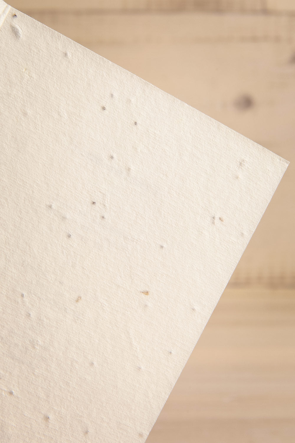 Wild Flowers Plantable Seed Card | Maison garçonne texture