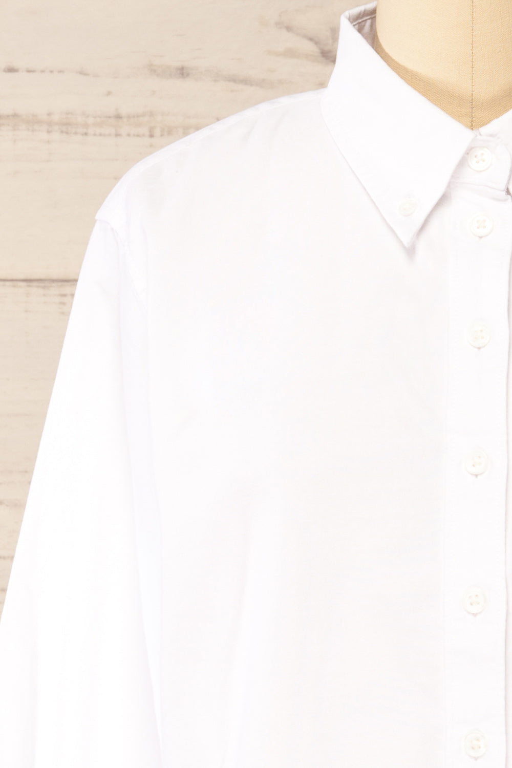Fowlin White Shirt w/ Horseshoe Embroidery | La petite garçonne front