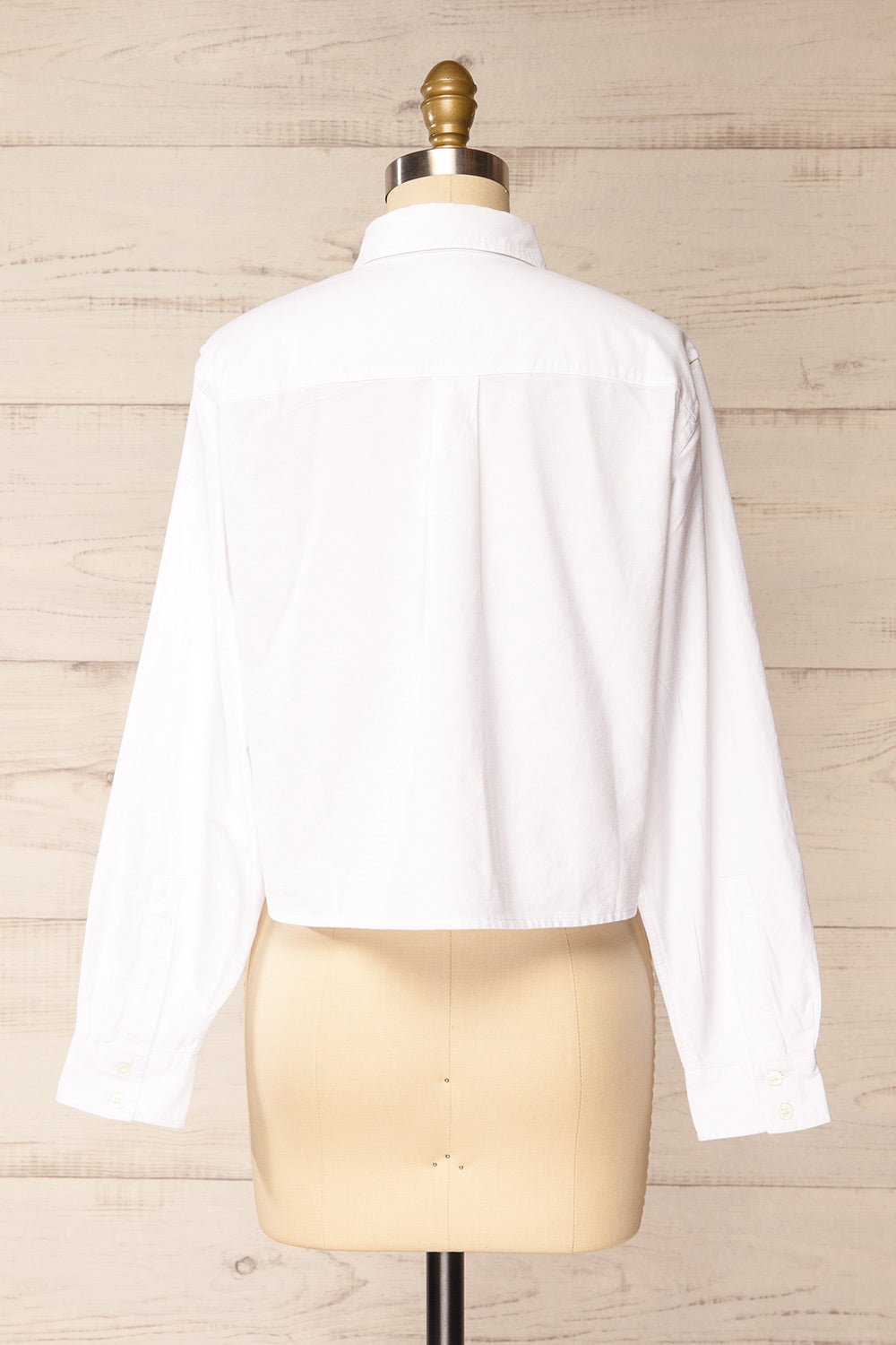 Fowlin White Shirt w/ Horseshoe Embroidery | La petite garçonne back view