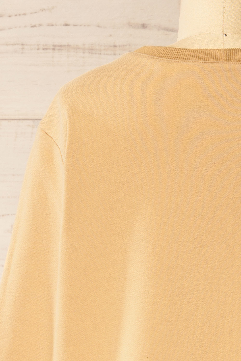 Galway Beige Exclusive La petite garçonne Embroidered Sweatshirt | La petite garçonne back