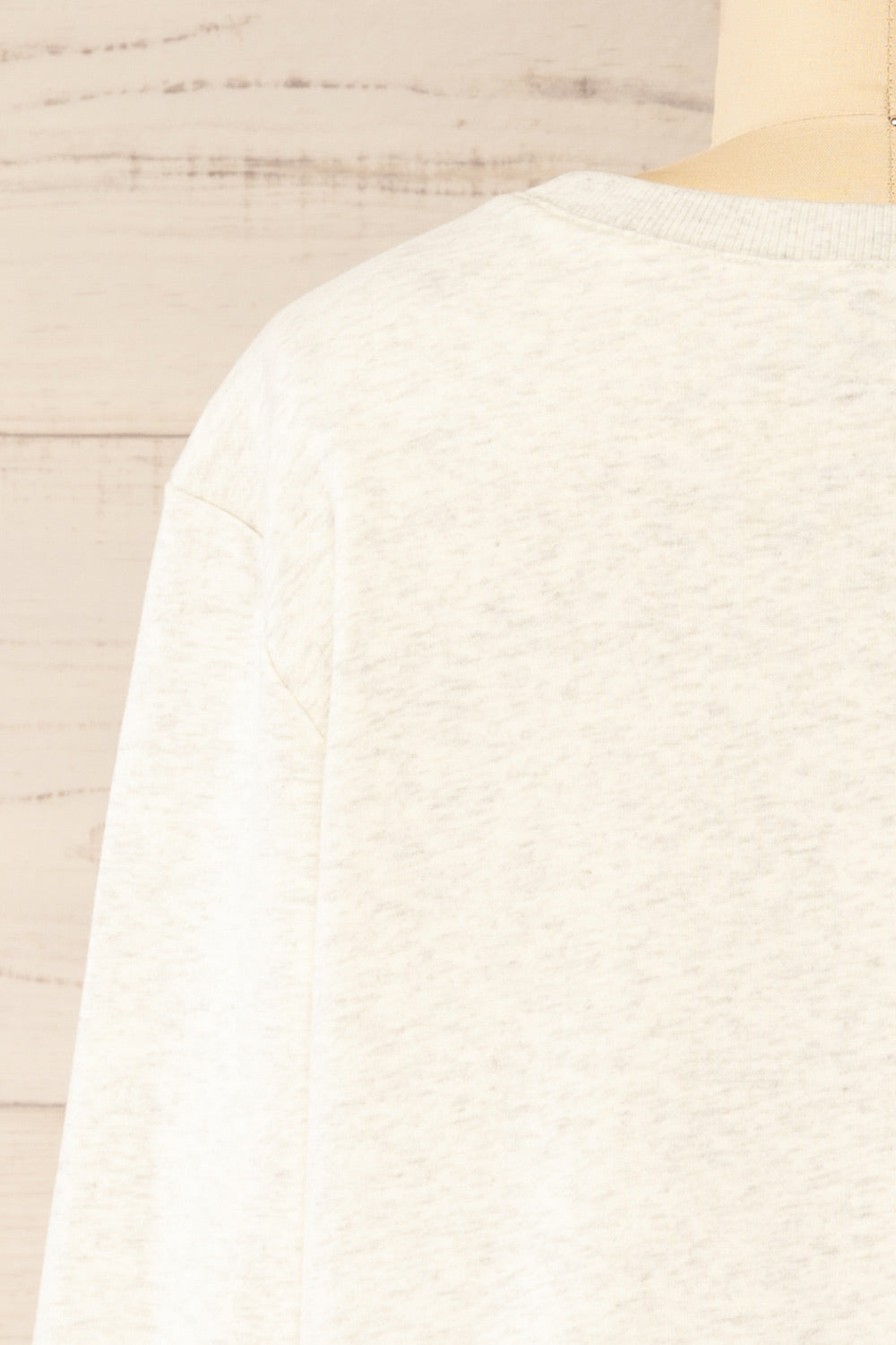 Galway Grey Exclusive La petite garçonne Embroidered Sweatshirt| La petite garçonne back