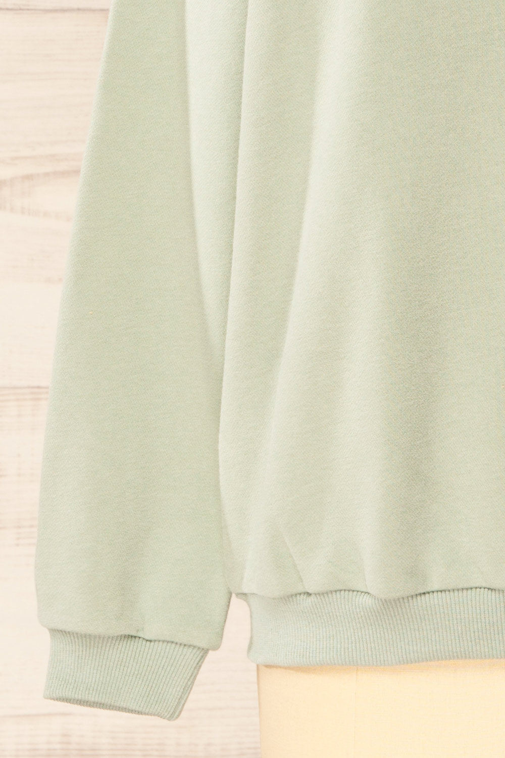 Galway Sage Exclusive La petite garçonne Embroidered Sweatshirt | La petite garçonne sleeve 