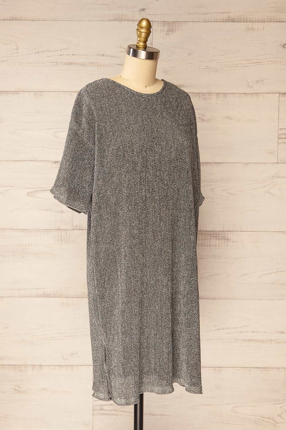 Haikou Short Loose Sparkling Dress | La petite garçonne  side view