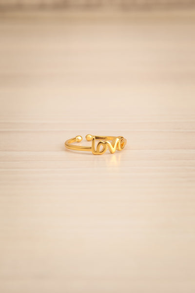 Harribey Gold Adjustable Love Ring | La petite garçonne side view