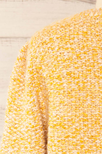 Hautmont Yellow Round Collar Knitted Sweater | La petite garçonne back close-up