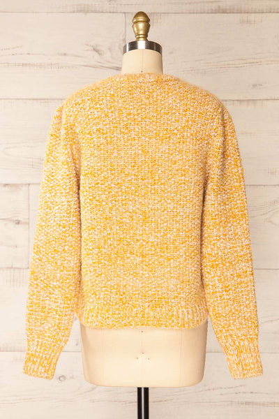 Hautmont Yellow Round Collar Knitted Sweater | La petite garçonne back view