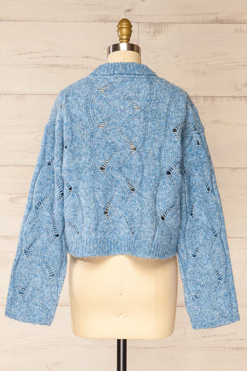 Jaxon Blue Knit Openwork Sweater | La petite garçonne  back view