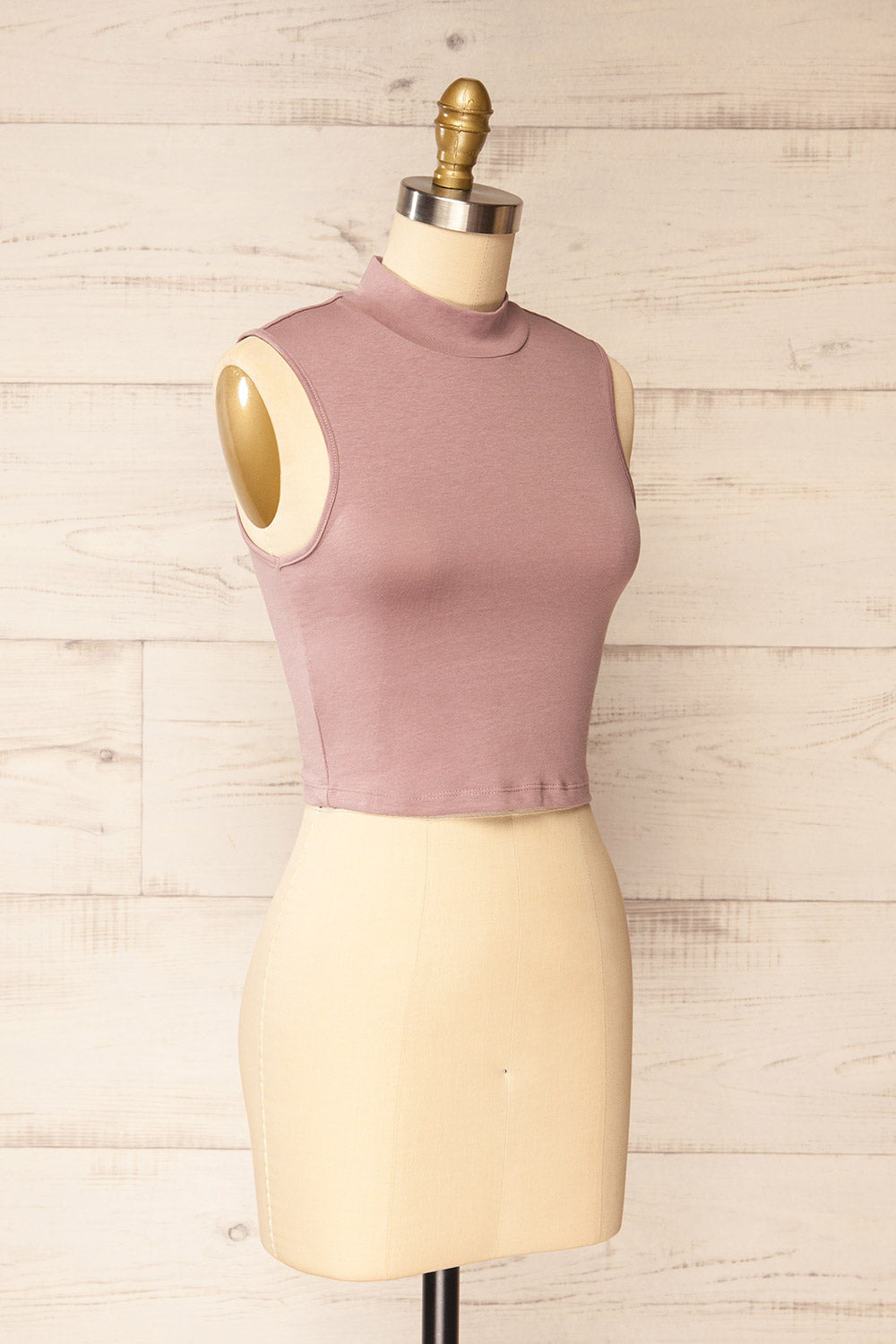 Karachi Mauve Crop Top w/ Mock Neck | La petite garçonne side view