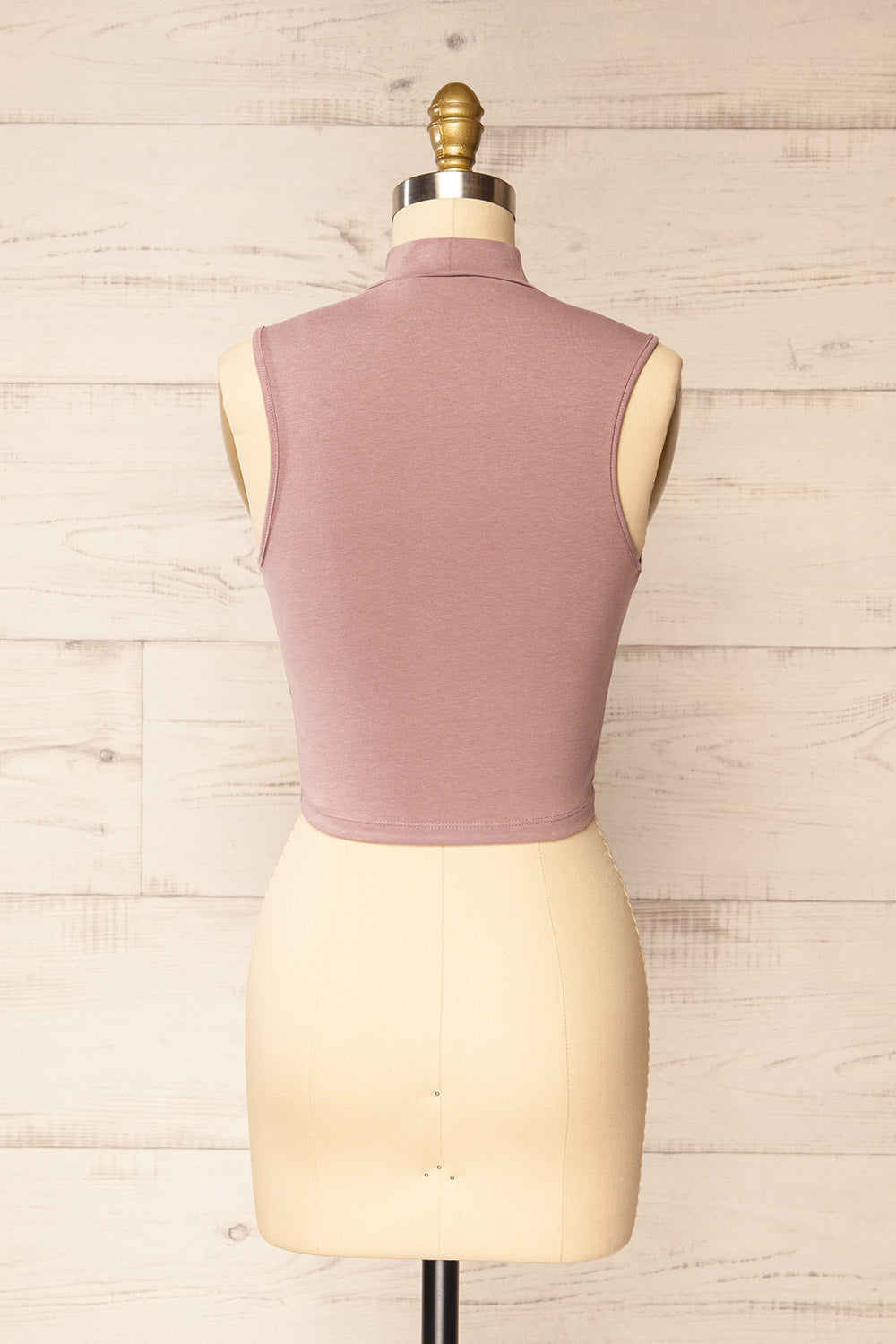 Karachi Mauve Crop Top w/ Mock Neck | La petite garçonne back view