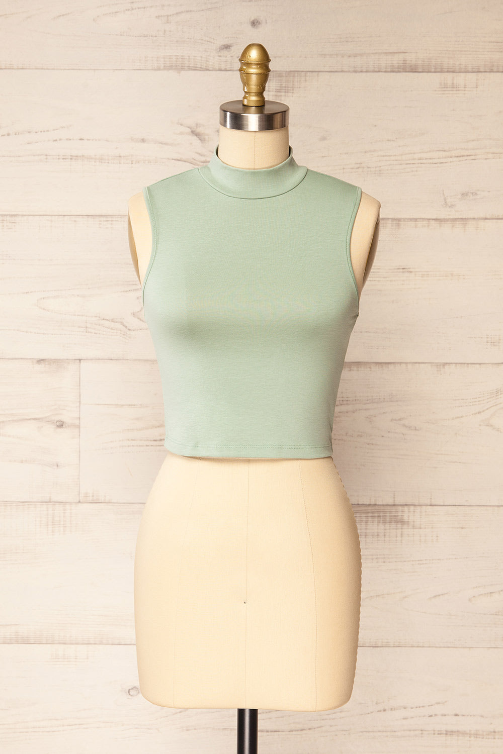 Karachi Sage Crop Top w/ Mock Neck | La petite garçonne front view