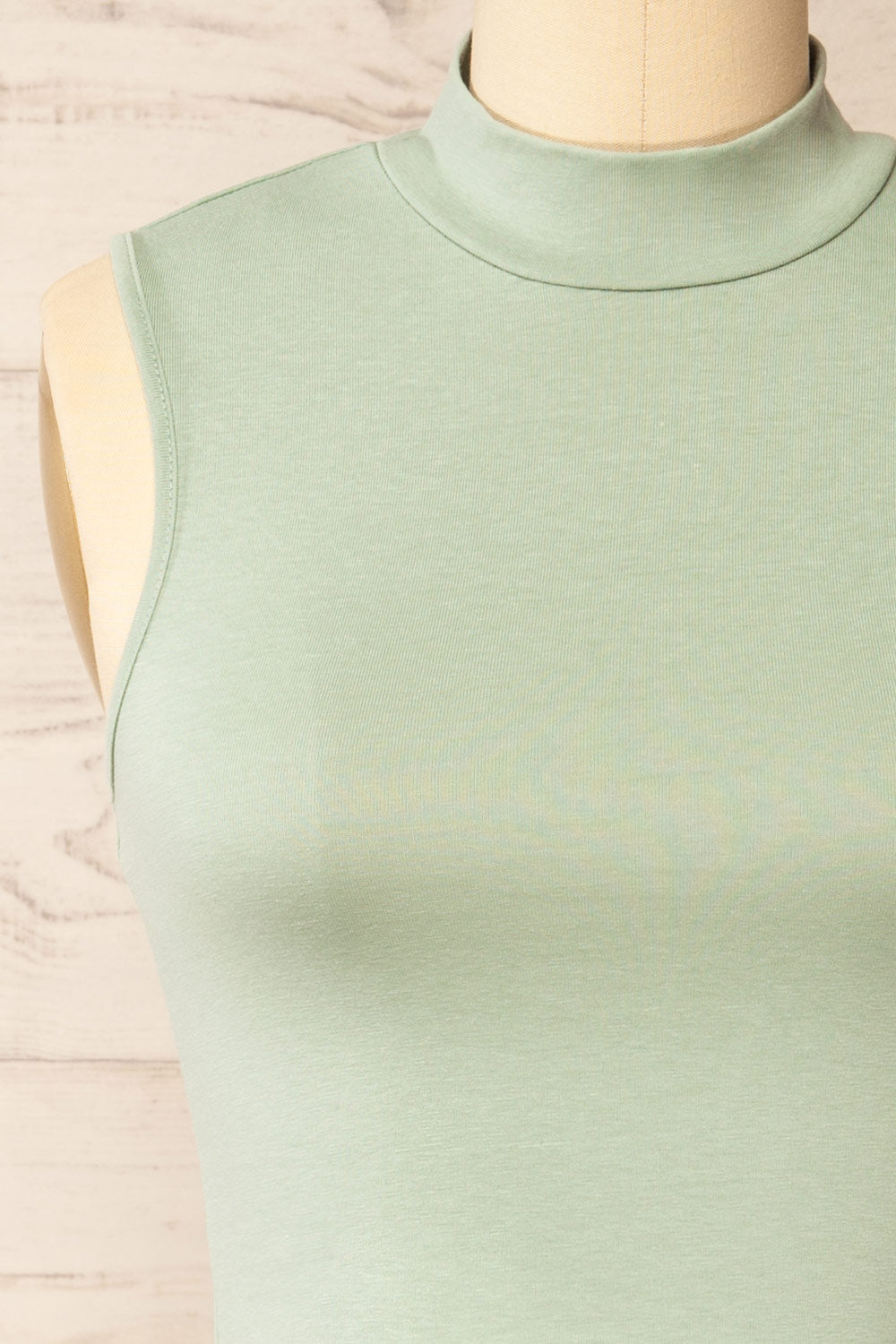 Karachi Sage Crop Top w/ Mock Neck | La petite garçonne front 