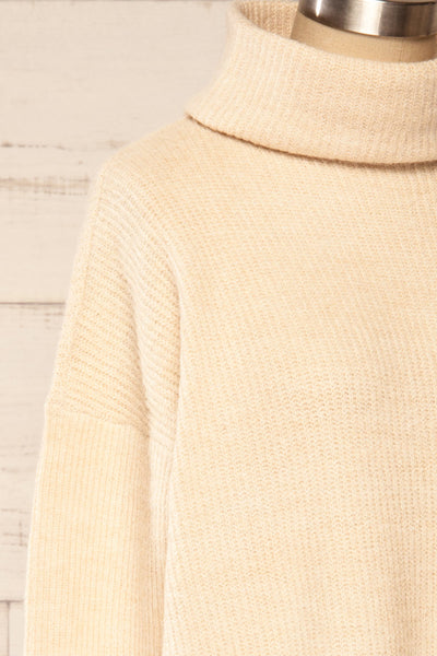 Koror Beige Knit Turtleneck Sweater Dress | La petite garçonne side close-up