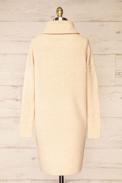 Koror Beige Knit Turtleneck Sweater Dress | La petite garçonne back view