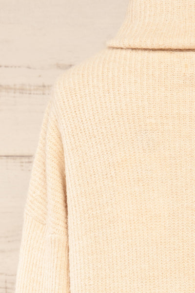 Koror Beige Knit Turtleneck Sweater Dress | La petite garçonne back close-up