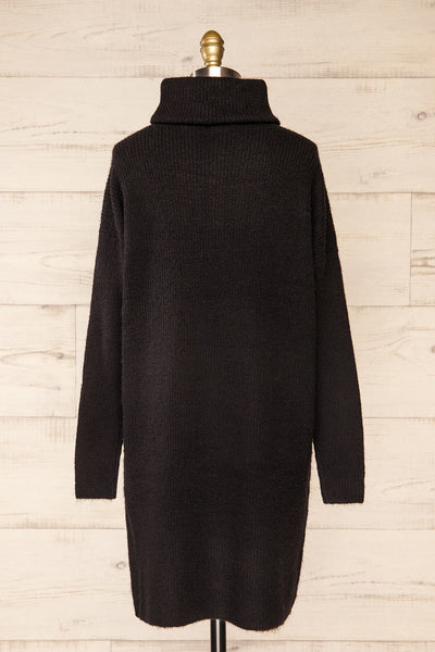 Koror Black Knit Turtleneck Sweater Dress | La petite garçonne  back view