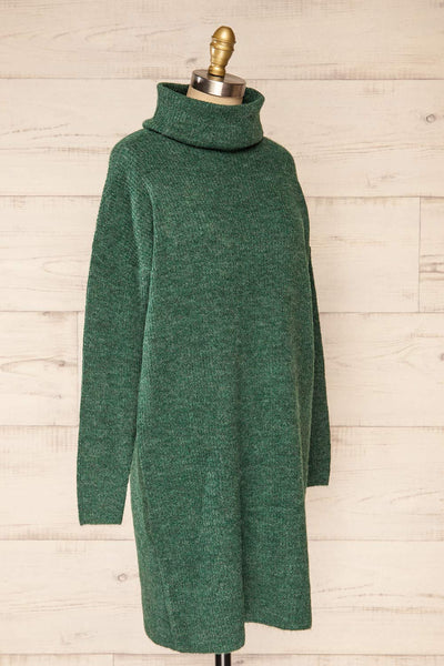 Koror Green Knit Turtleneck Sweater Dress | La petite garçonne  side view