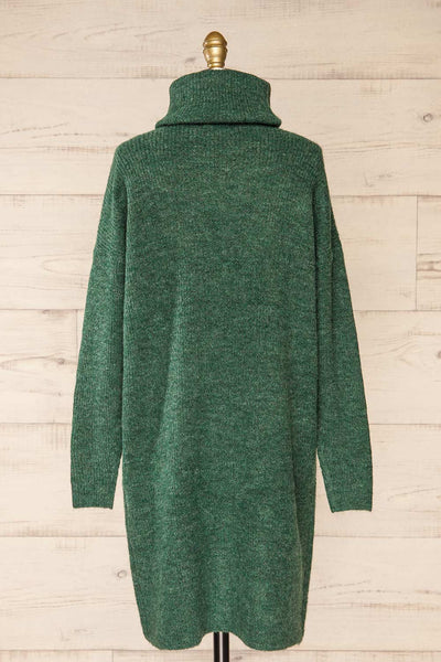 Koror Green Knit Turtleneck Sweater Dress | La petite garçonne  back view