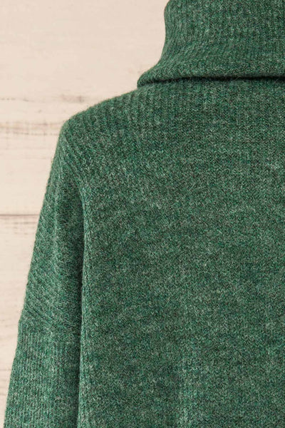 Koror Green Knit Turtleneck Sweater Dress | La petite garçonne  back close-up