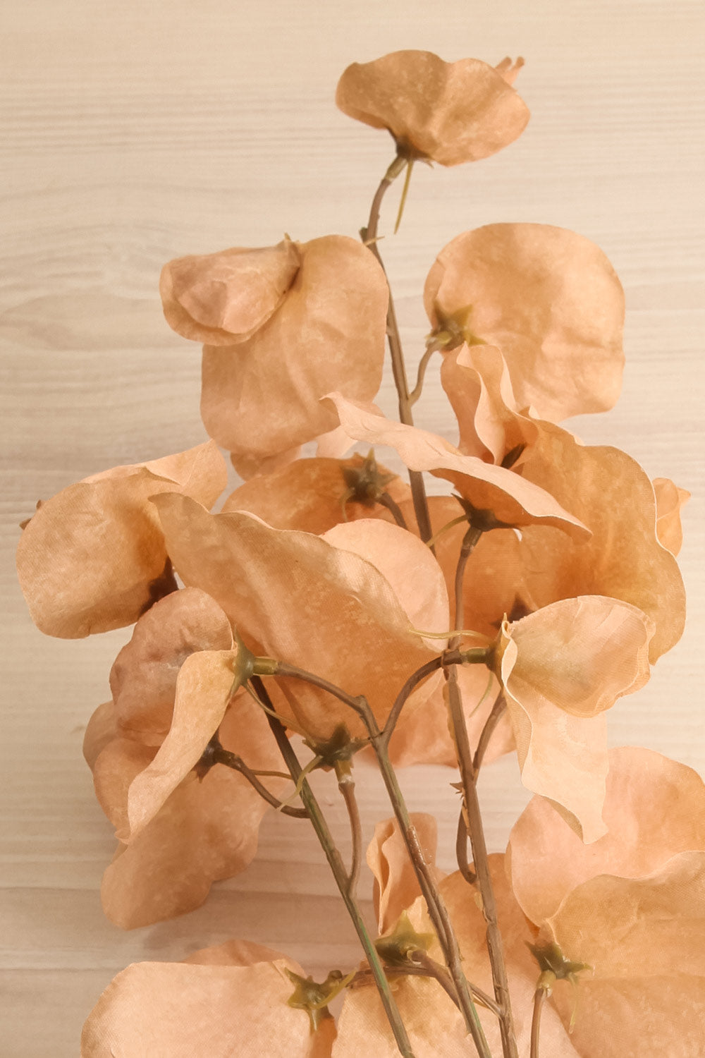 Lathyrus Artificial Brown Sweet Pea Flowers | Maison Garçonne close-up