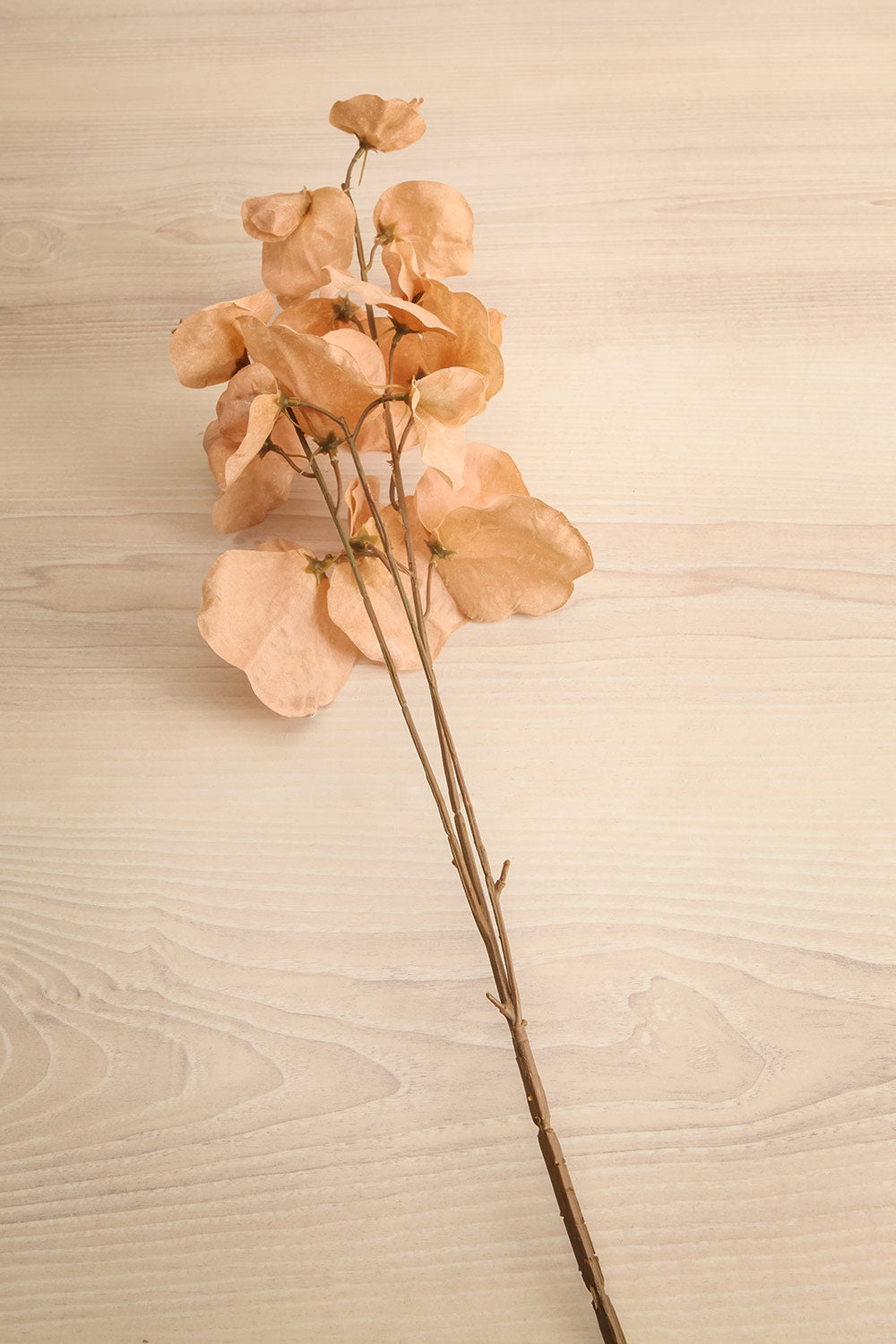 Lathyrus Artificial Brown Sweet Pea Flowers | Maison Garçonne