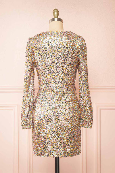 Lumiana Short Fitted Multicolor Sequins Dress | Boutique 1861 back view