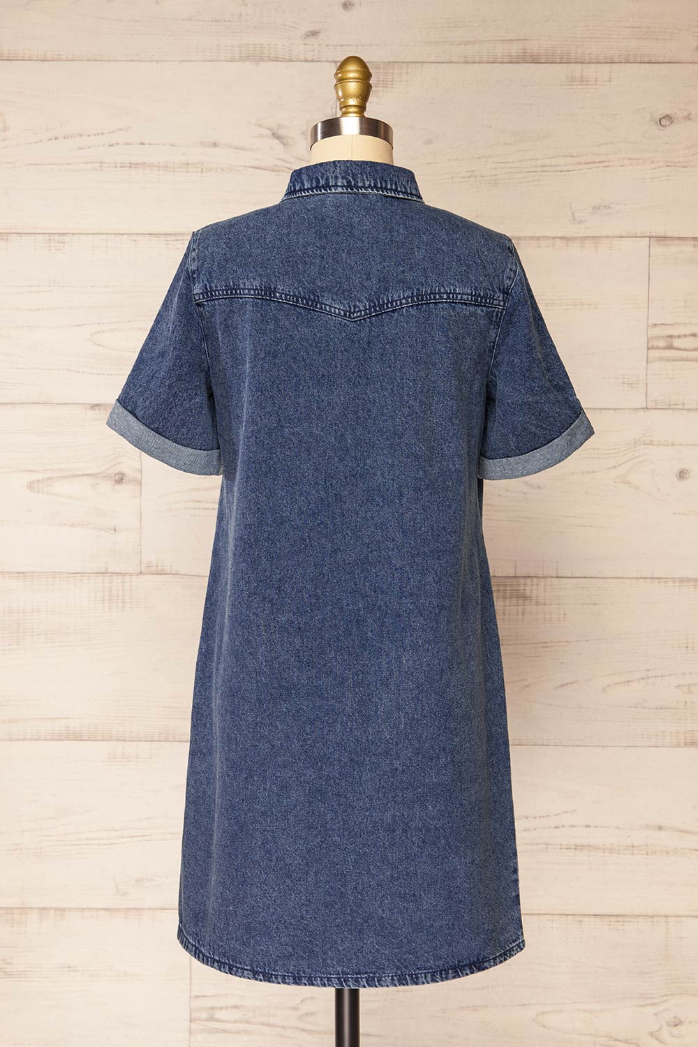 Malda Short Blue Denim Shirt Dress with Pockets | La petite garçonne  back view