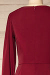 Nantwich Burgundy Silky Long-Sleeved Jumpsuit | La petite garçonne back