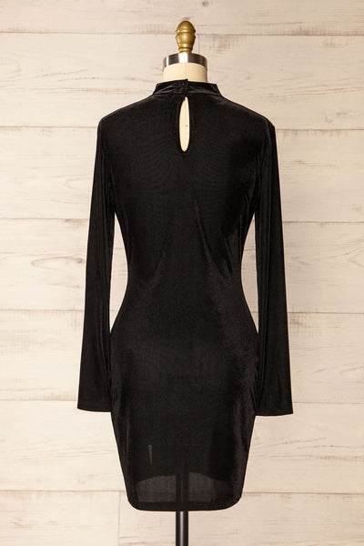 Olmeto Black Velvet Dress w/ High Collar | La petite garçonne back view