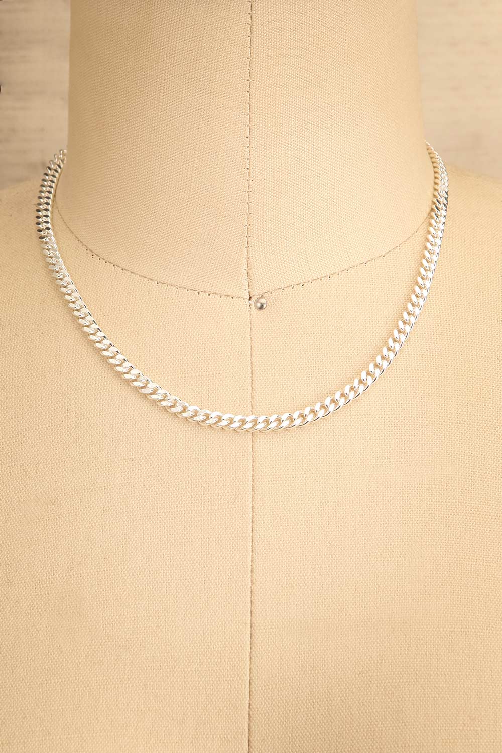 Pandia Silver Minimalist Chain Necklace | La petite garçonne