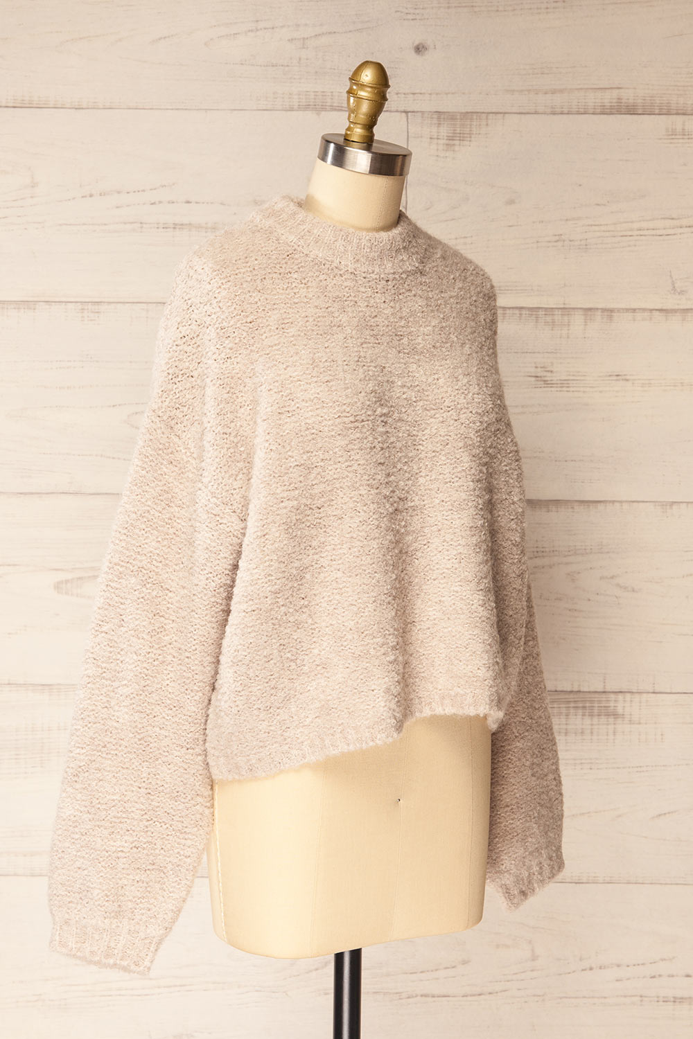 Panya Fluffy Beige Oversized Sweater | La petite garçonne side view