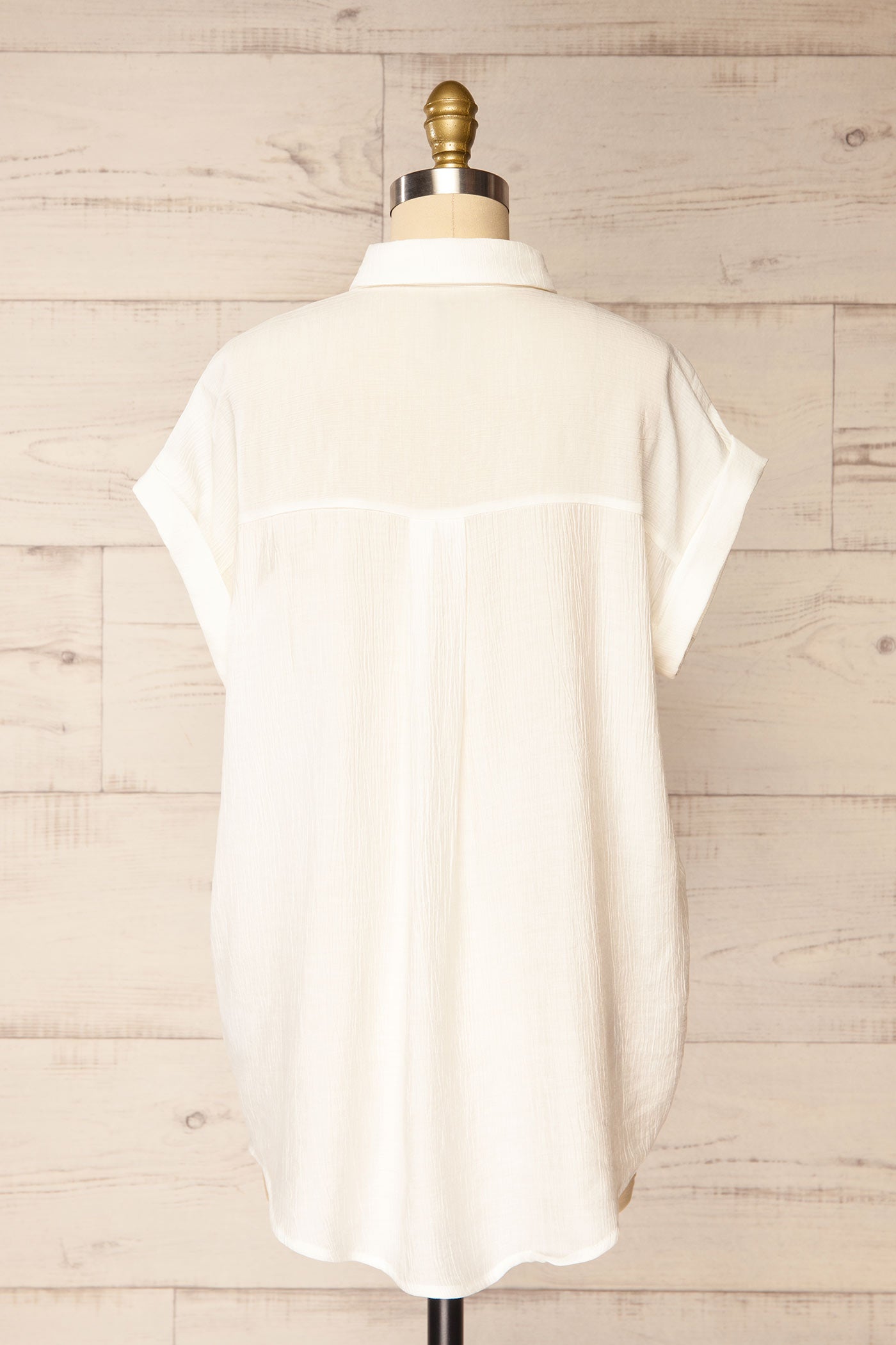 Backview Patiala Ivory Sheer Short Sleeve Button-Down Shirt at la petite garçonne